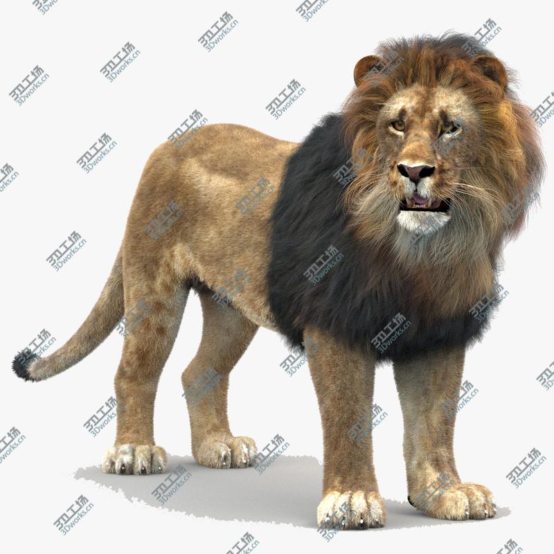 images/goods_img/2021040161/Lion (1) (Rigged, Fur)/1.jpg